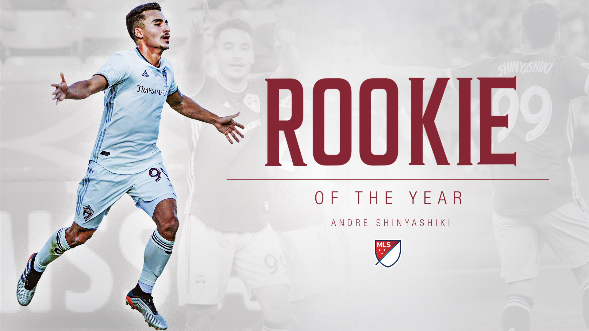 Shinyashiki ROTY Graphic.jpg