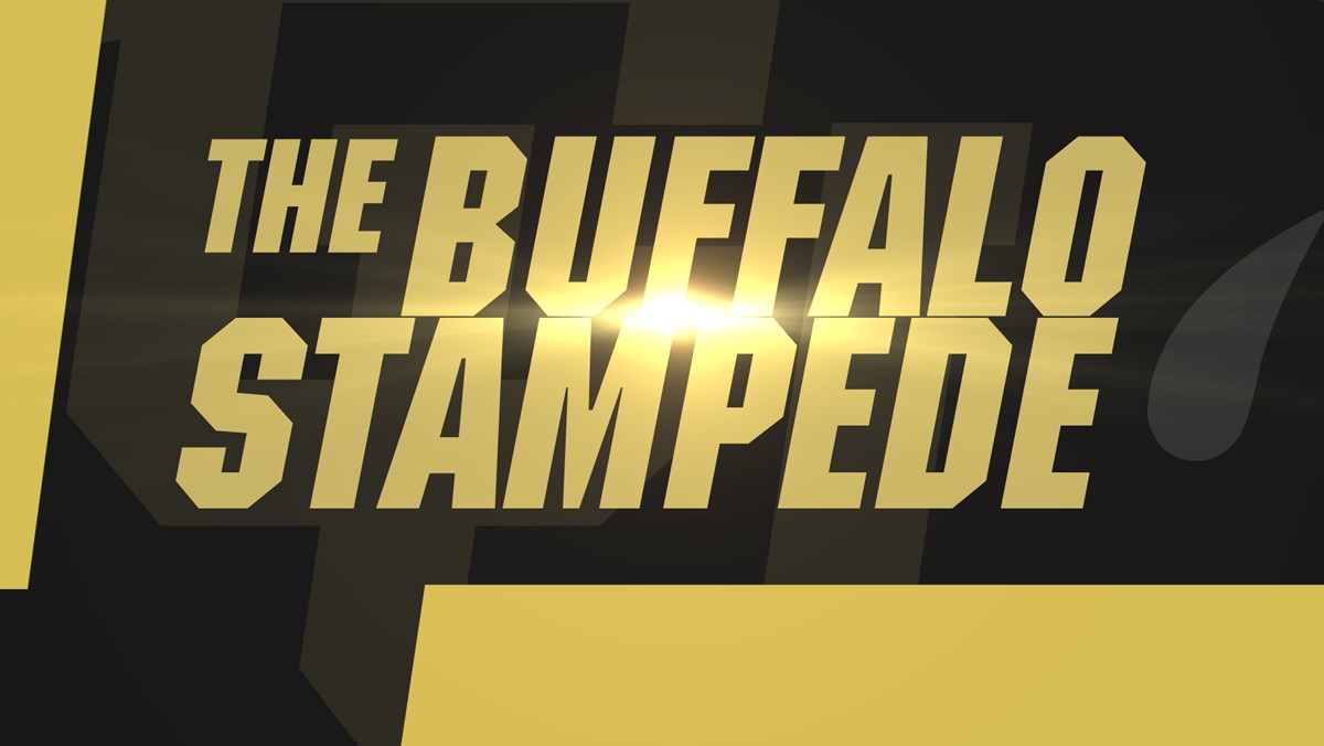 Buffalo Stampede - 16x9.jpg