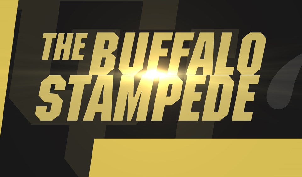 Buffalo Stampede - 16x9.jpg